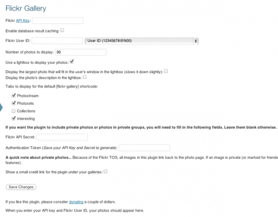 Flickr Gallery